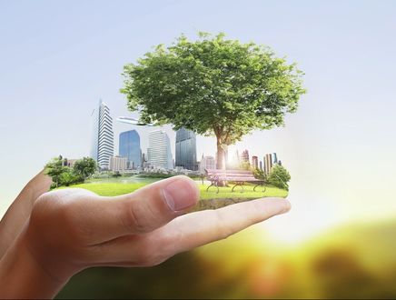 Hands holding a green space - Efficiency Commissioning LLC is passionate about energy conservation in the building industry